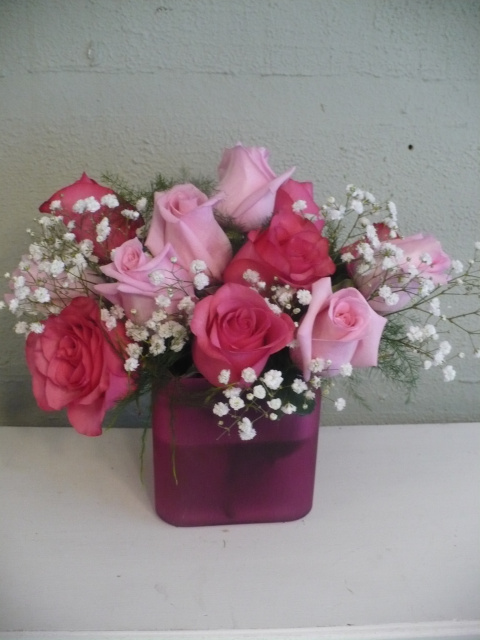Pink Roses 